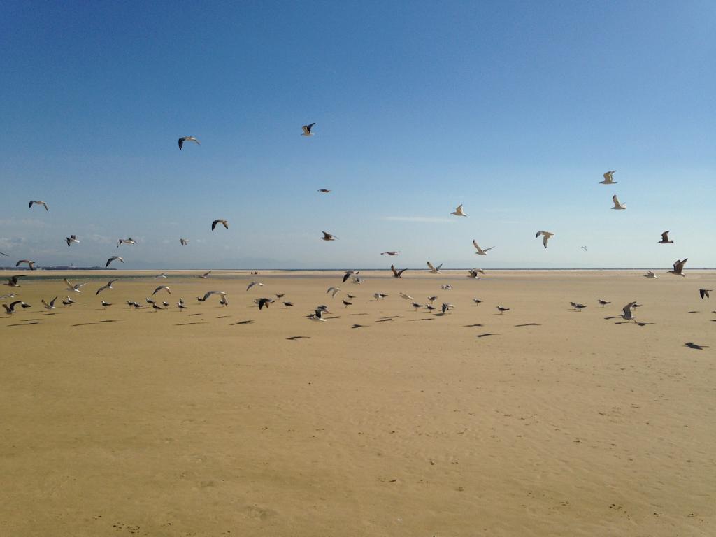 Rural Tarifa Beach Las Cabanas المظهر الخارجي الصورة